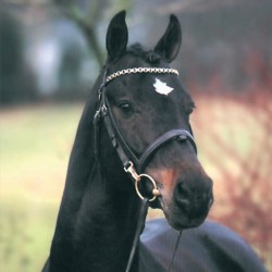 Réservation IAC Welcome...