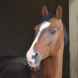 Réservation monte en main...