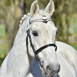 Réservation monte en main...