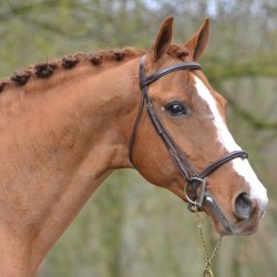 Réservation MenM Laudator SL