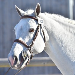 copy of Réservation IAC...