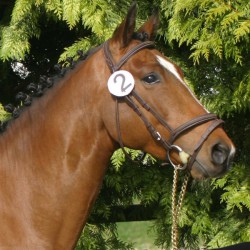 copy of Dose France Anydale...