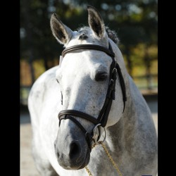 Réservation IAC Rex The...