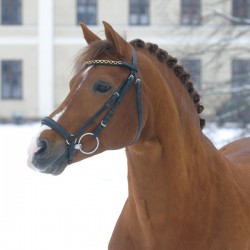 copy of Dose France Anydale...