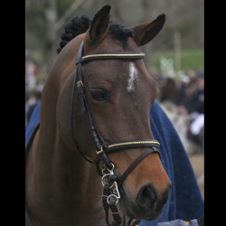 Réservation IAF/IART...