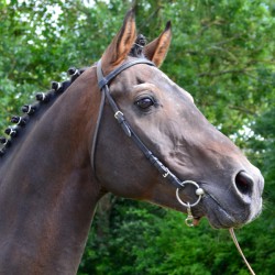 Rachat de doses Minotauros SL