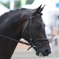 Réservation IAC Mon Nantano...