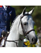 Jimmerdor de Florys SL