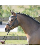 Very Star Kerveyer SL