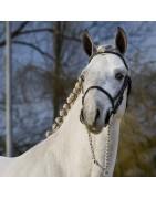 Romeo van de Groenweg SL