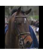 IAF / IART Emmickhoven's Diego SL