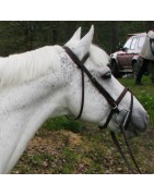 IAC Idefix du Villon SL