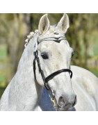 Monte en main Ialoubet