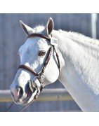 IAC Pixies Leam Pondi SL