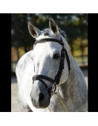 IAF / IART Rex The Robber SL